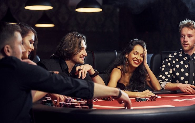 ivibet login ivibet login