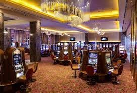 ivibet login ivibet login