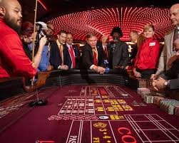 ivibet login ivibet login